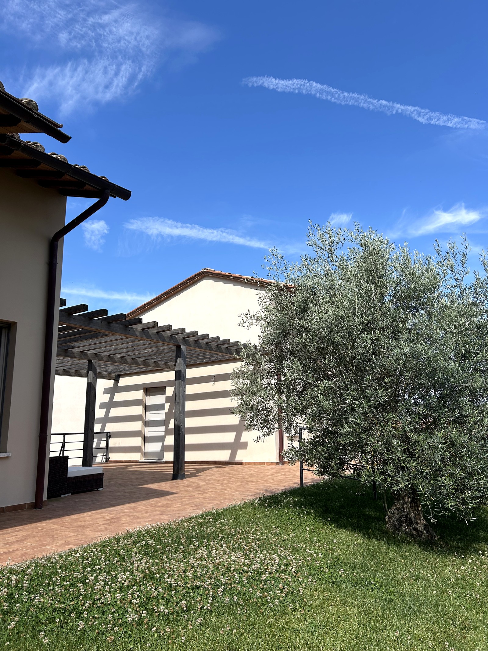 The villa facade with wooden pergola, olive tree and blooming lawn